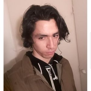 Meet your Posher, Ernie